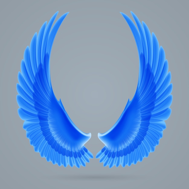 Vector inspiring wings blue colour drawn separately on a gray background