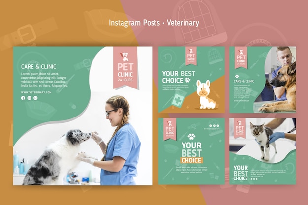 Vector instagram-berichtenverzameling voor dierenartsen