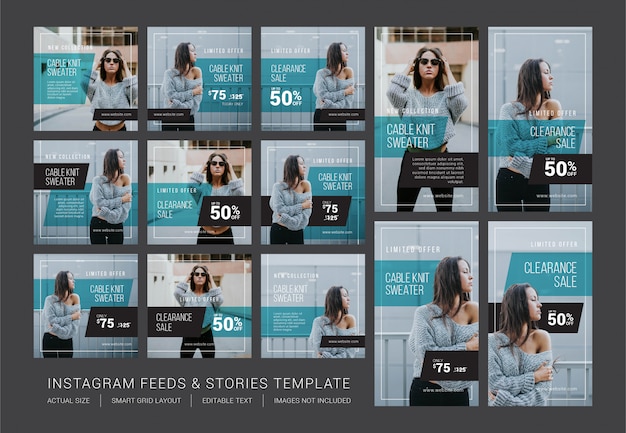 Modello di feed e storie di Instagram