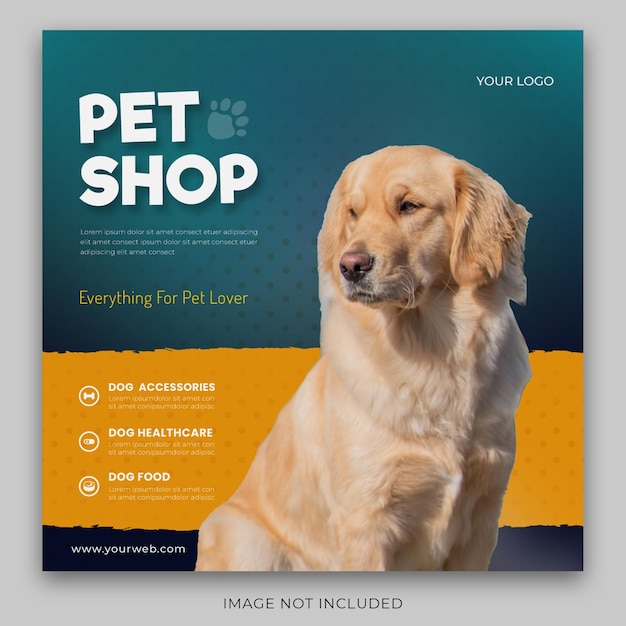Vector instagram posts for pet adoption with animals