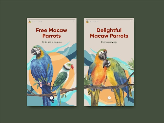 Modello di instagram con il concetto di uccello pappagallo ara, stile acquerello