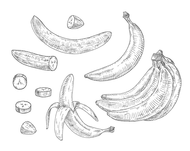 Instellen met banaan. Hele, halve, stukjes geschilde en ongeschilde vruchten. Vintage vectorgravure