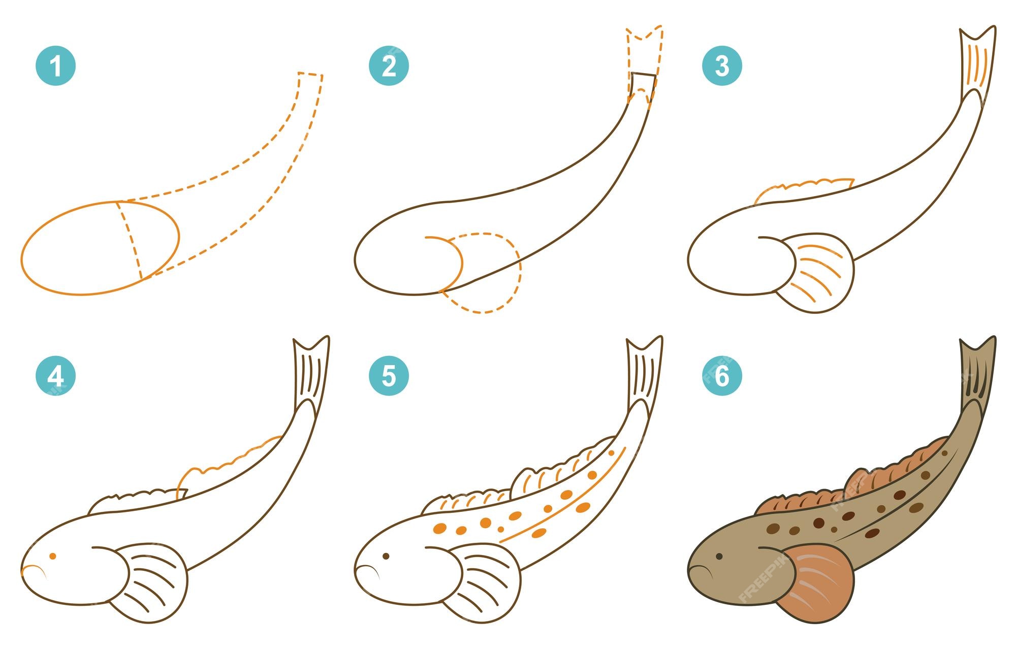 How to Draw a Cute Fish in 9 Easy Cute Fish Drawing Steps