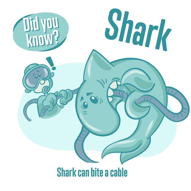 Interesting facts about sharks Did you know