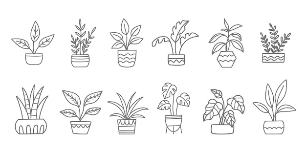 Interior flowers in pot Indoor Home plants vector illustration set Potted houseplant line art han