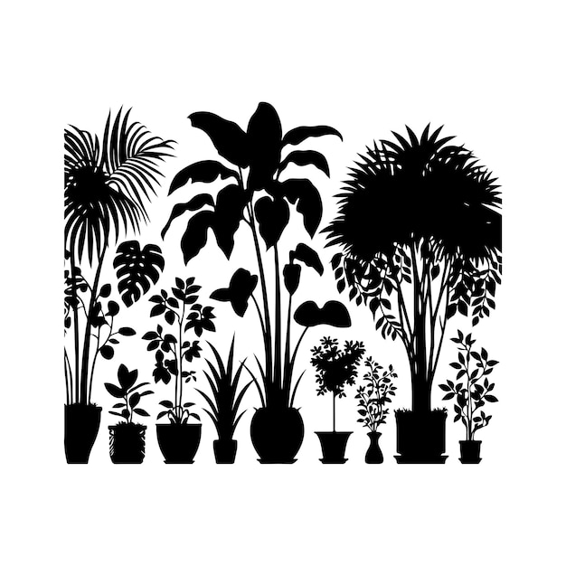 interior plant or indoor tree silhouettes vector