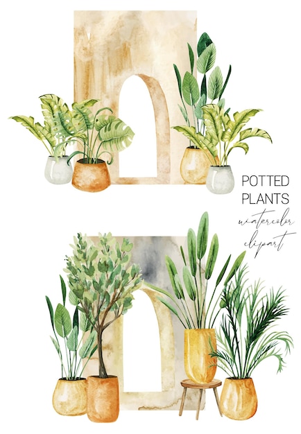 Интерьерные сцены с зелеными горшечными растениями у арки. коллекция домашних растений