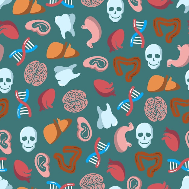 Internal human organs seamless pattern