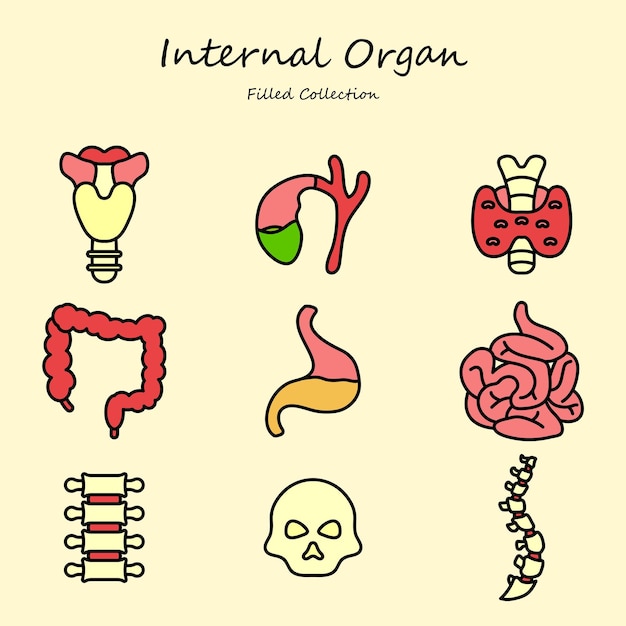 Vector internal organ editable icons set filled style