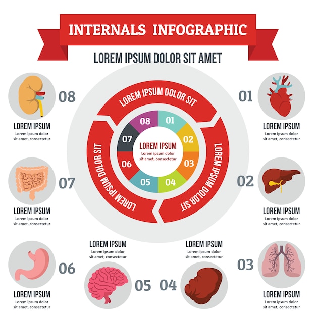 Vector internals infographic concept. flat illustration of internals infographic vector poster concept for web