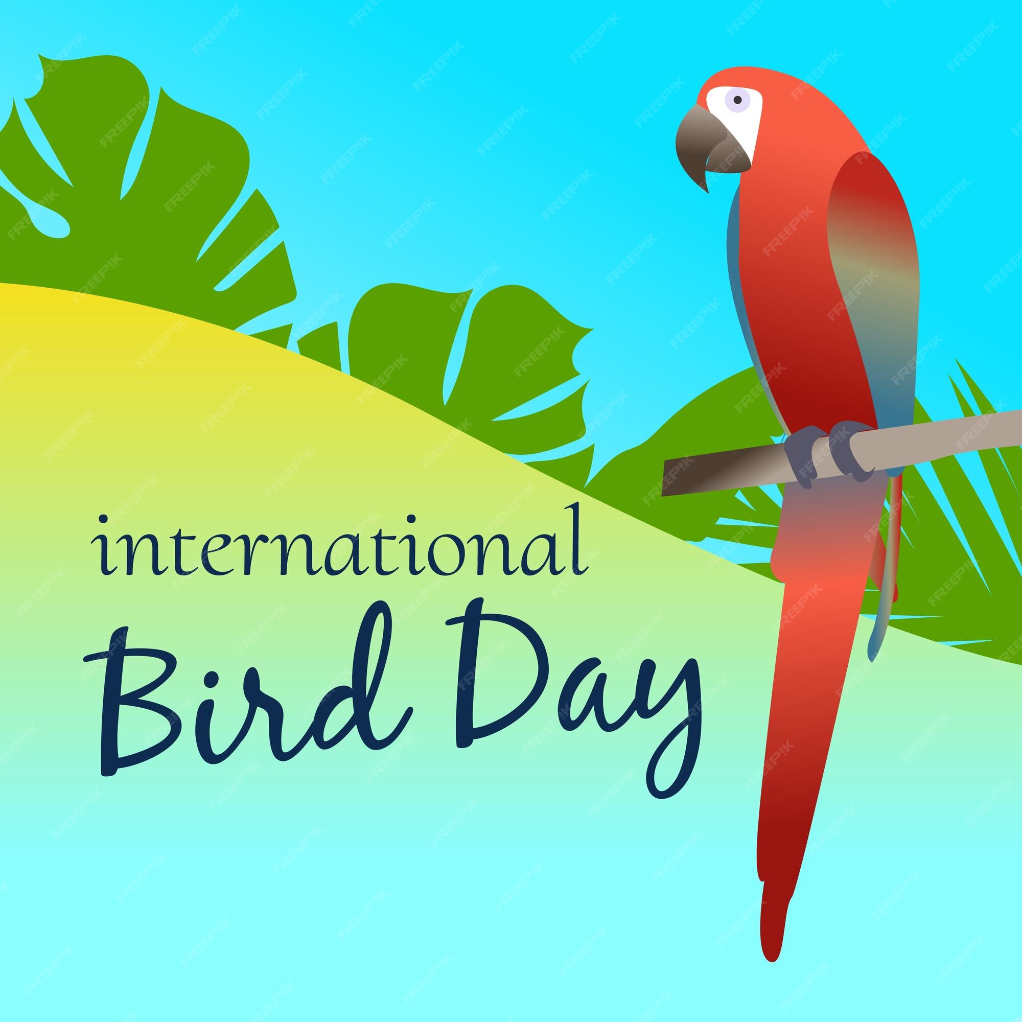 Premium Vector International bird day card and poster vector