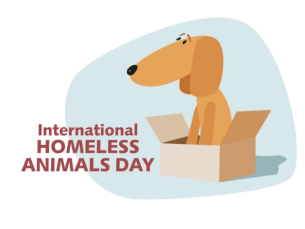 세계 노숙자 동물의 날 슬픈 작은 만화 개가 거리의 상자에 앉아 있다