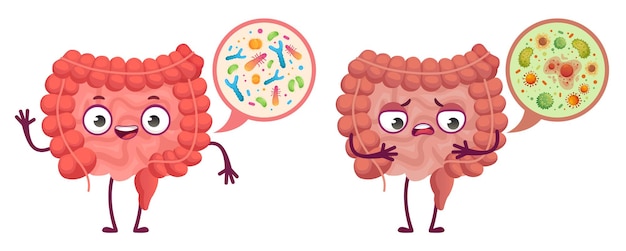 Vettore microflora intestinale. illustrazione del fumetto di cura del sistema digerente, batteri intestinali e probiotici.