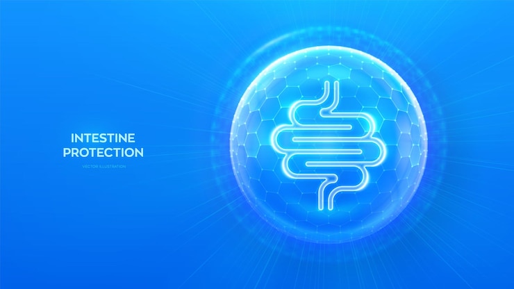 Vector intestine care human intestine bowel anatomy organ icon inside protection sphere shield
