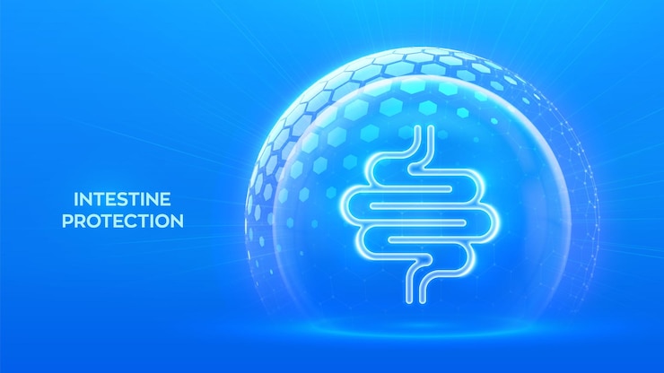 Vector intestine care and protection human intestine bowel organ icon inside protection dome sphere shield