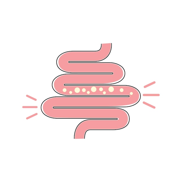 Vector intestine illustration icon