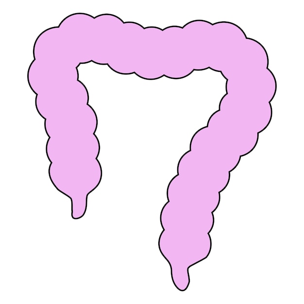 Intestine simple icon vector