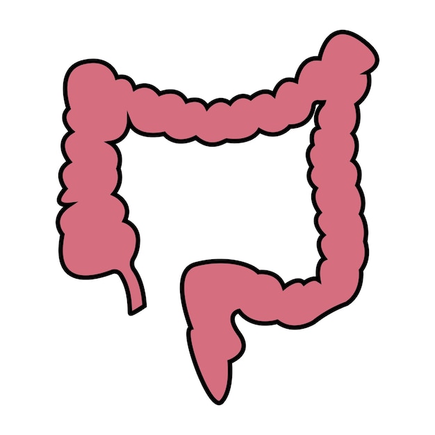 Intestine simple icon