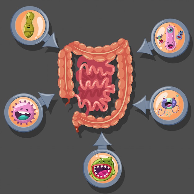 Vettore illustrazione del virus dell'intestino