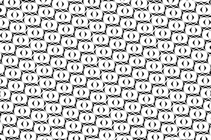 Vector intricate black and white geometric pattern with repeating shapes