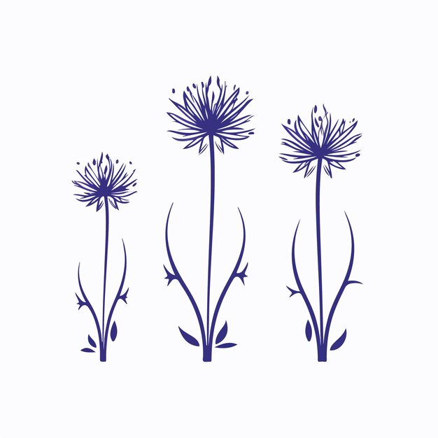 Vector intricate cornflower illustration with fine details