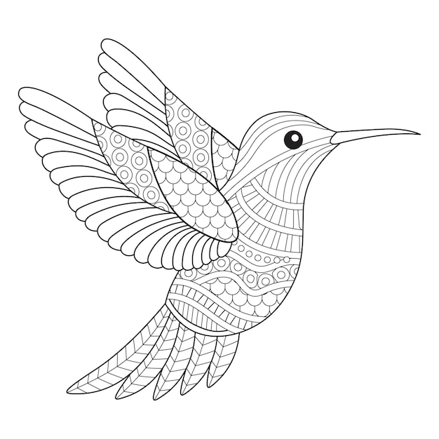 intricate hummingbird line art