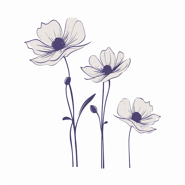 Intriguing anemone illustrations in various poses perfect for art prints