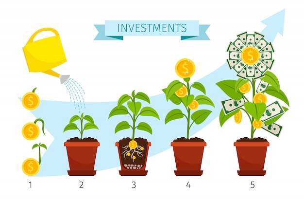 Investments process concept  with money tree growing