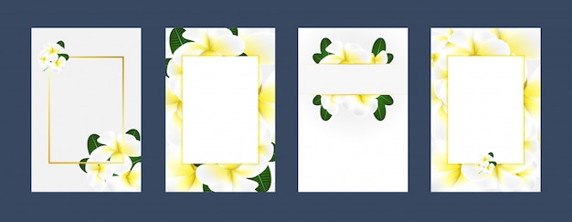 invitation cards Plumeria white yellow background