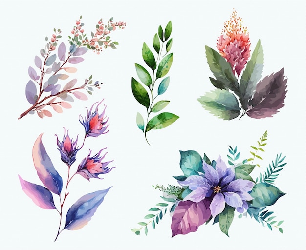 Inzameling van bloemen Mooie Waterverfreeks Ontwerpornamenten