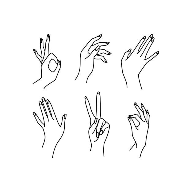 Inzamellijn voor dameshanden. Vectorillustratie van vrouwelijke handen van verschillende gebaren - overwinning, oke. Lineart in een trendy minimalistische stijl. Logo ontwerp, handcrème, nagelstudio, posters, kaarten.