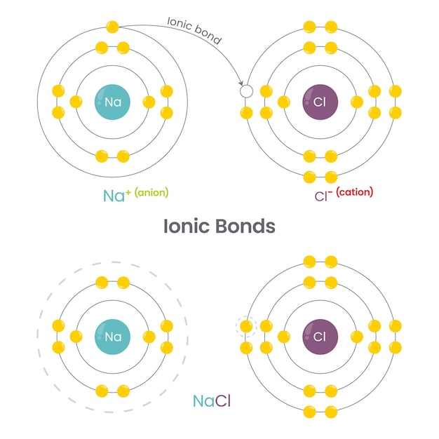 Ionische obligaties chemie vector illustratie infographic