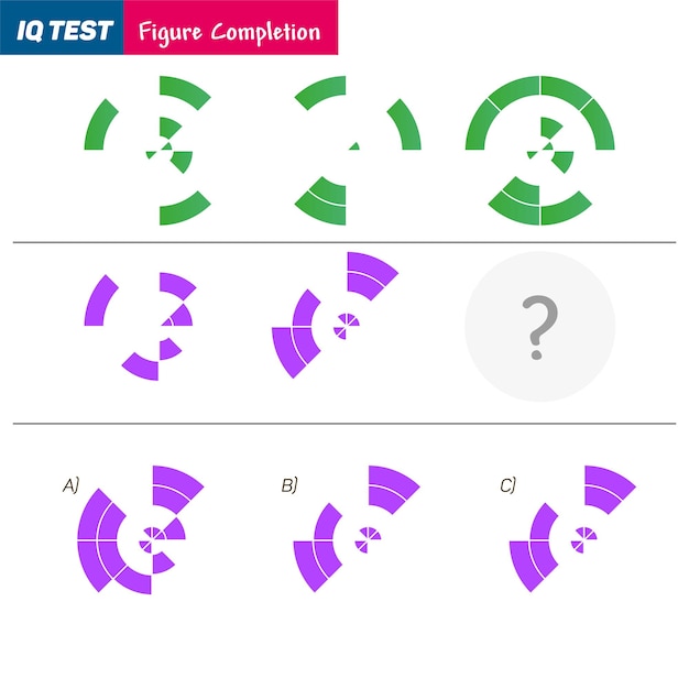 벡터 iq 테스트 연습 질문 빠른 사고 해석 수학 지능 시각 지능