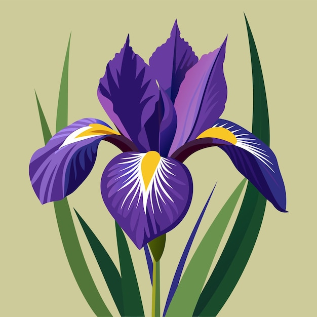 iris flower clipart cartoon style vector illustration