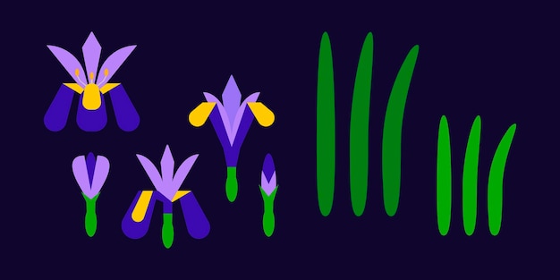 Vector iris flower geometric icon set