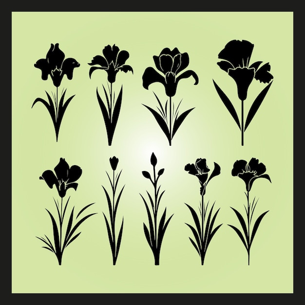 Iris flower silhouette set