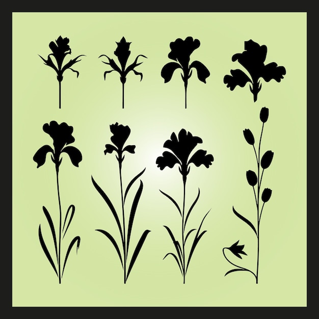 Iris flower silhouette set