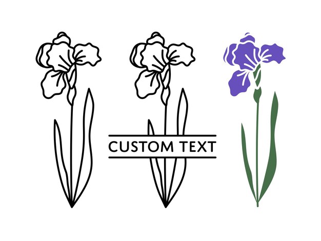 Vector iris split naam frame schets silhouet februari geboortemaand bloem
