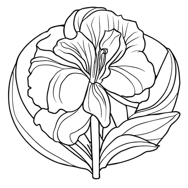 an iris in a style of coloring book black contour with white backgroung vector illustration