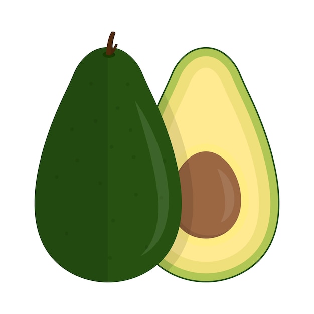 Illustrazione isolata dell'avocado - popolare frutto asiatico soprattutto in indonesia