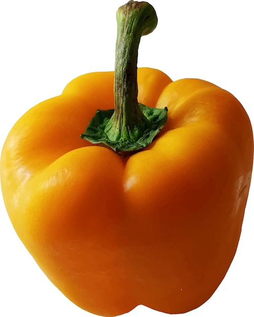 Isolated Bell Pepper Yellow Pepper