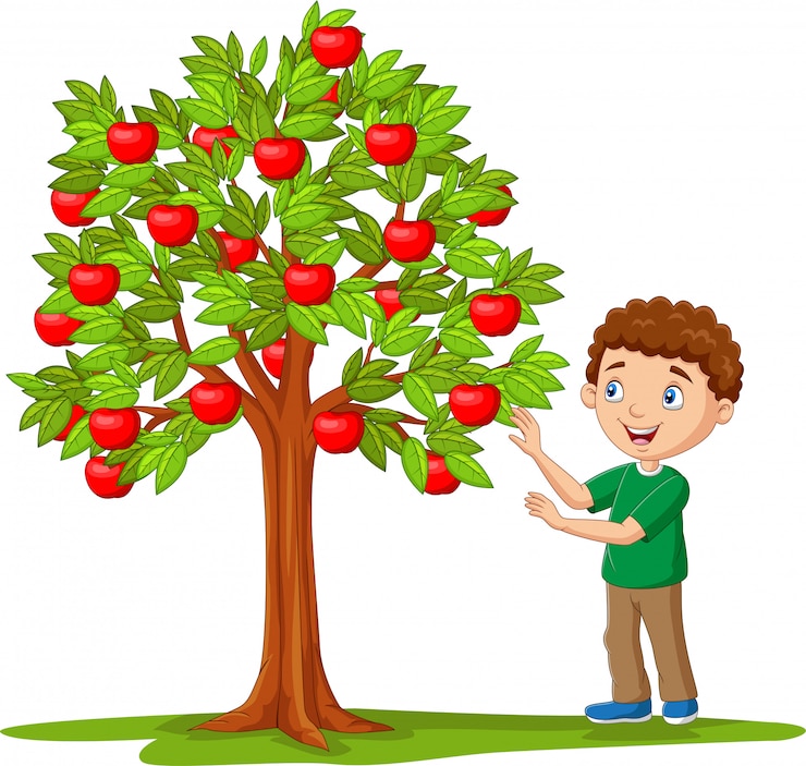 Vector isolated cartoon boy picking apples from apple tree