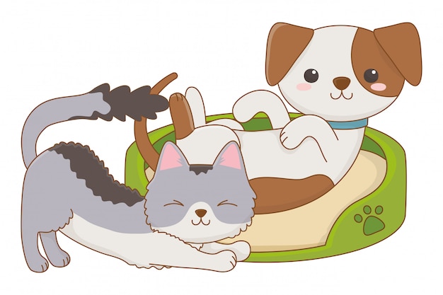 Isolated cat and dog cartoon design