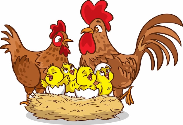 Isolated chicken family on white background