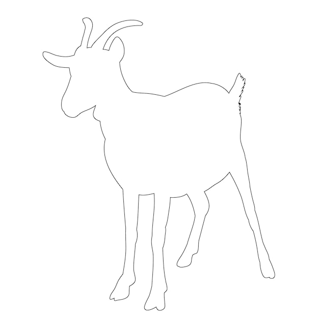 isolated contour is a goat on a white background