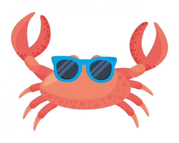 Isolated crab cartoon 