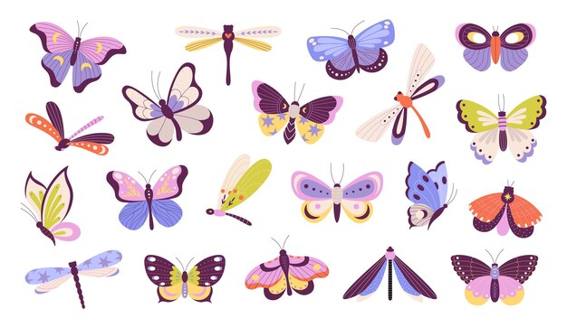 Farfalle decorative isolate farfalla e falena insetto floreale mosca drago esotica insetti volanti primavera estate animali da giardino cartone animato raccolta vettoriale di illustrazione di farfalla e farfalla