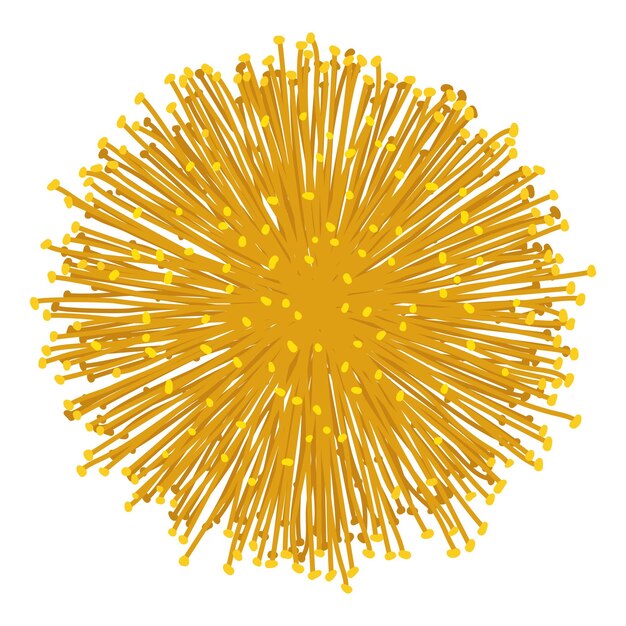 Vector isolated design of a yellow mimosa flower head with its stamens