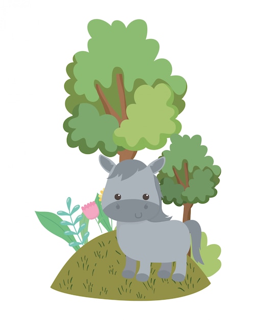 Isolated donkey cartoon