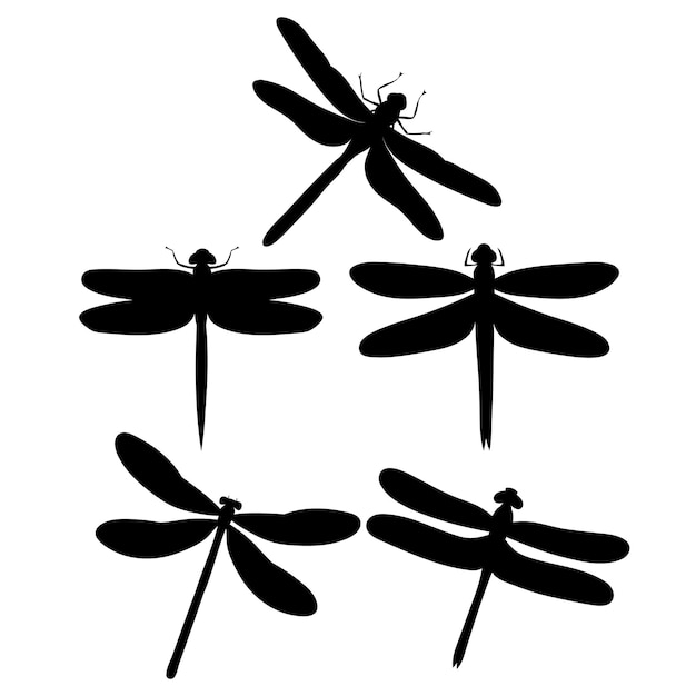 Isolated dragonfly flies insect set of silhouettes
